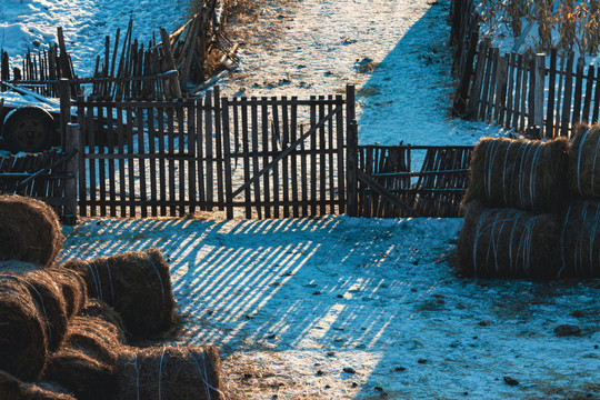 冬季东北乡村木门栅栏