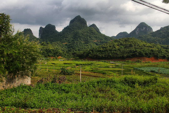 骨屯村