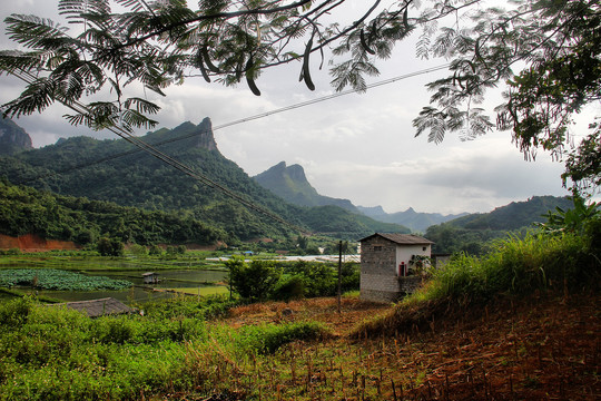 骨屯村