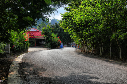 广西骨屯村