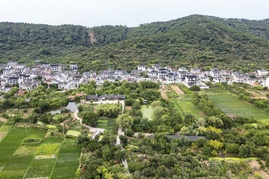 植里古村