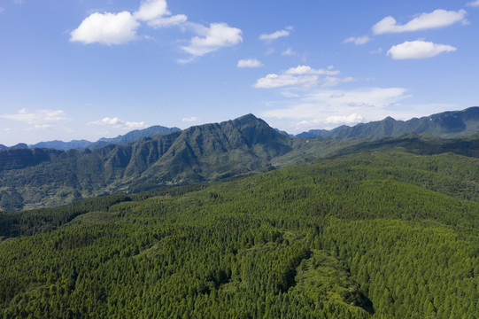 山王坪