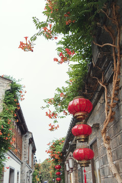 老门东凌霄花盛开夏天