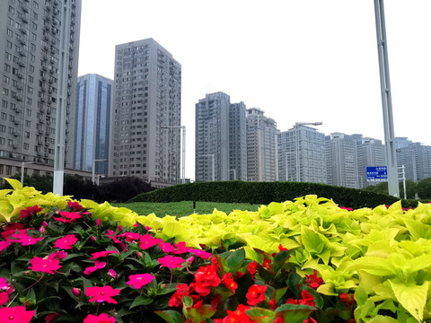 郑东新区CBD的景观带