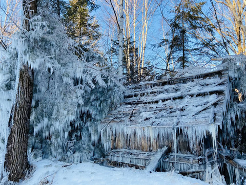 雾凇东北雪景