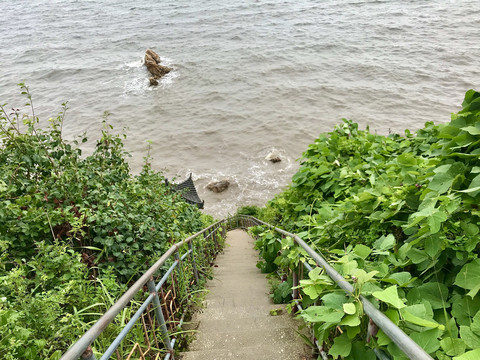 大连蛤蜊岛通向海边凉亭的石阶