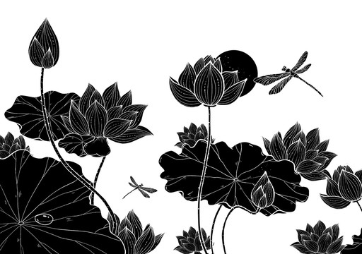 國潮中國風(fēng)荷花蓮花蜻蜓插畫