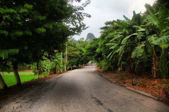 骨屯村