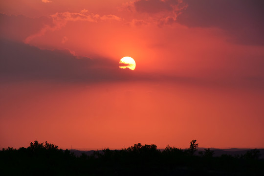 夕陽