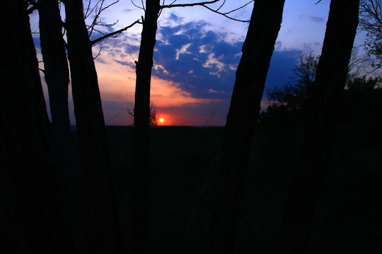 夕陽風景