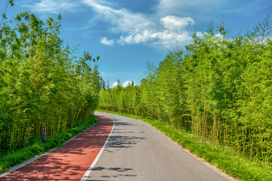 竹林健身步道