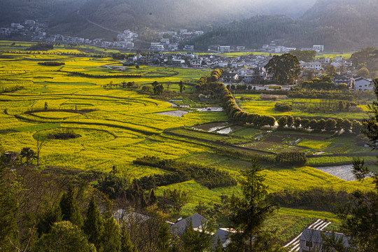 万峰林春色