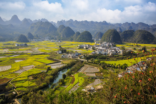 万峰林春色