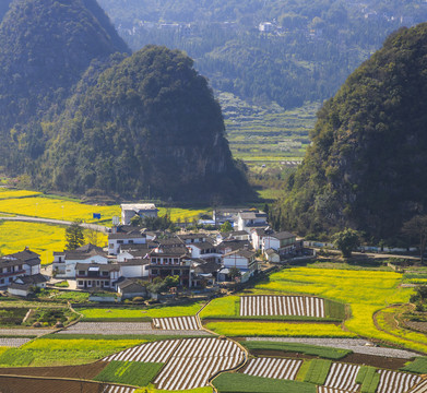 万峰林春色