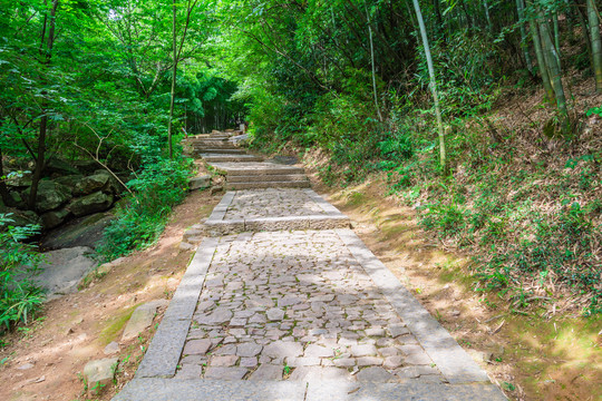 登山小路