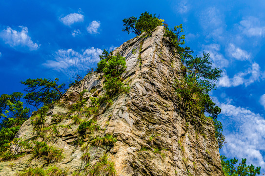 浙江大明山