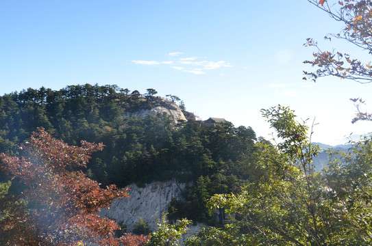 青山