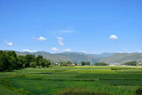 乡村风光