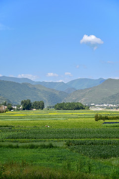 乡村风光