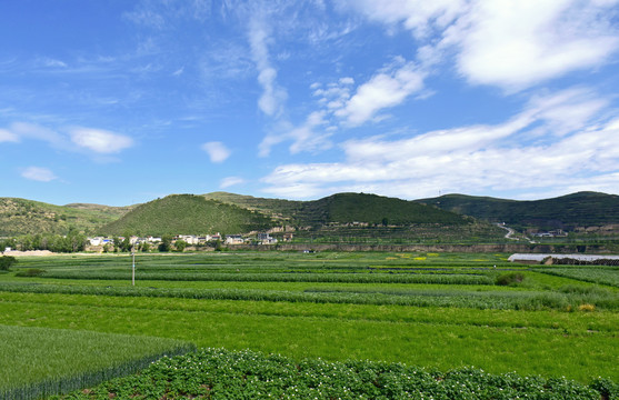 乡村风光