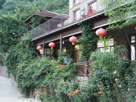 植物外墻