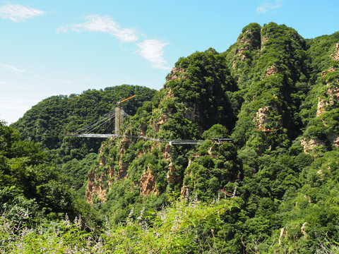 大山青山