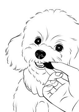 狗狗萌寵泰迪插畫線稿