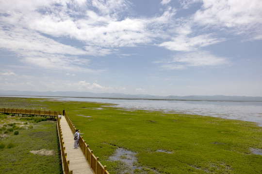 甘南尕海湿地