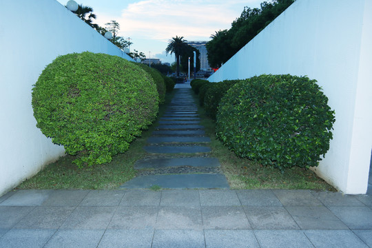 绿植景观景色风景