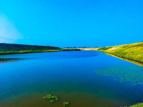 罗纹河湿地公园自然风景