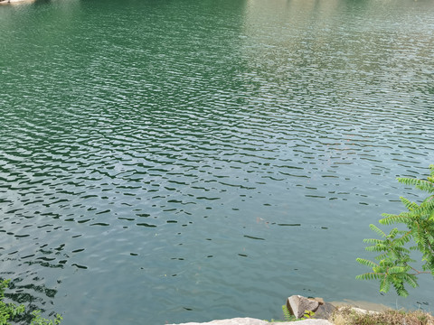 湖泊水面