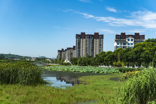 湿地公园旁的住宅小区