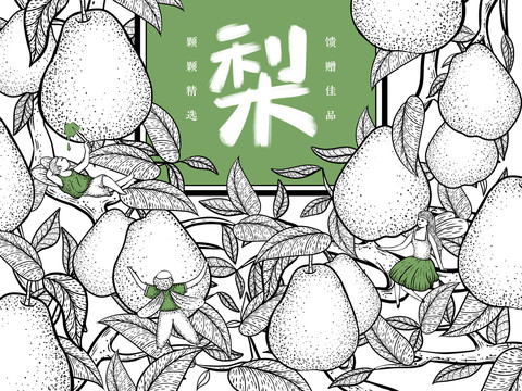 梨子包裝插畫禮盒包裝設(shè)計