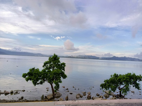 红树林海滨生态园