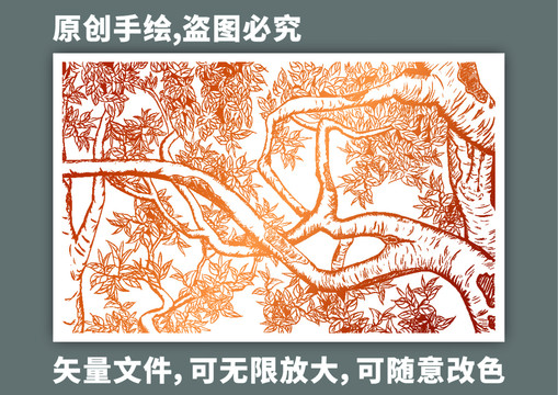 手繪古茶樹