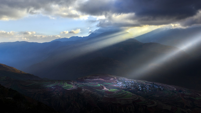 粮食背景