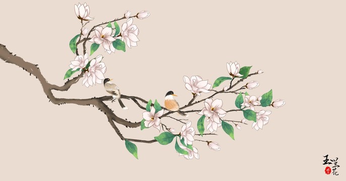 玉蘭花工筆花鳥