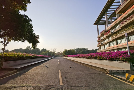 广东工业大学校园