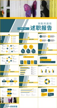 銷售崗?fù)ㄓ檬雎殘?bào)告PPT模板