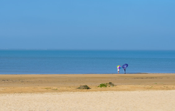 大海