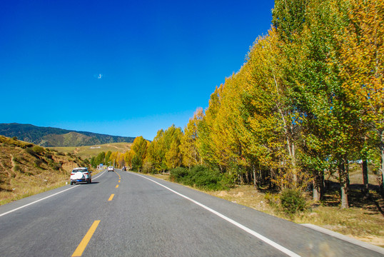 兔儿山秋景公路