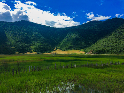 香格里拉