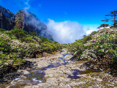 轿子山红土地