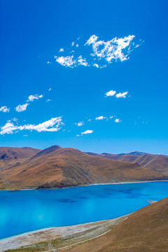 大美西藏羊湖