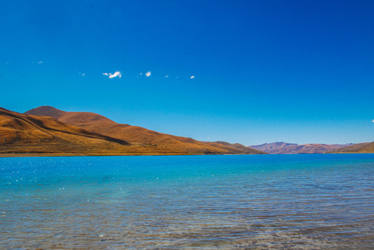 大美西藏羊湖