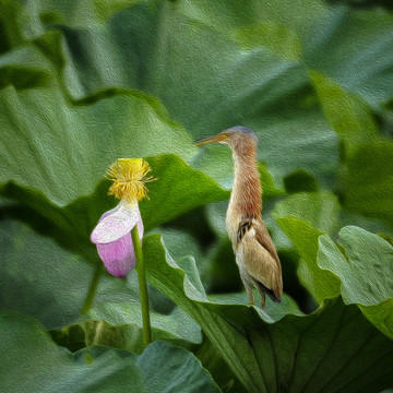 客房卧室装饰仿油画小品