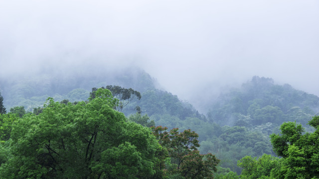 烟雨山峰