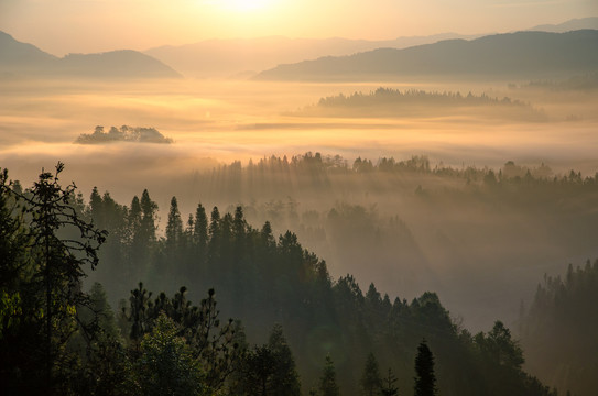 山林晨曦