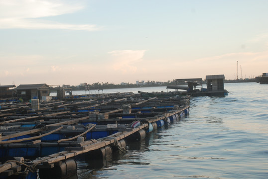 渔港鱼排养殖业