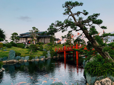 日式庭院